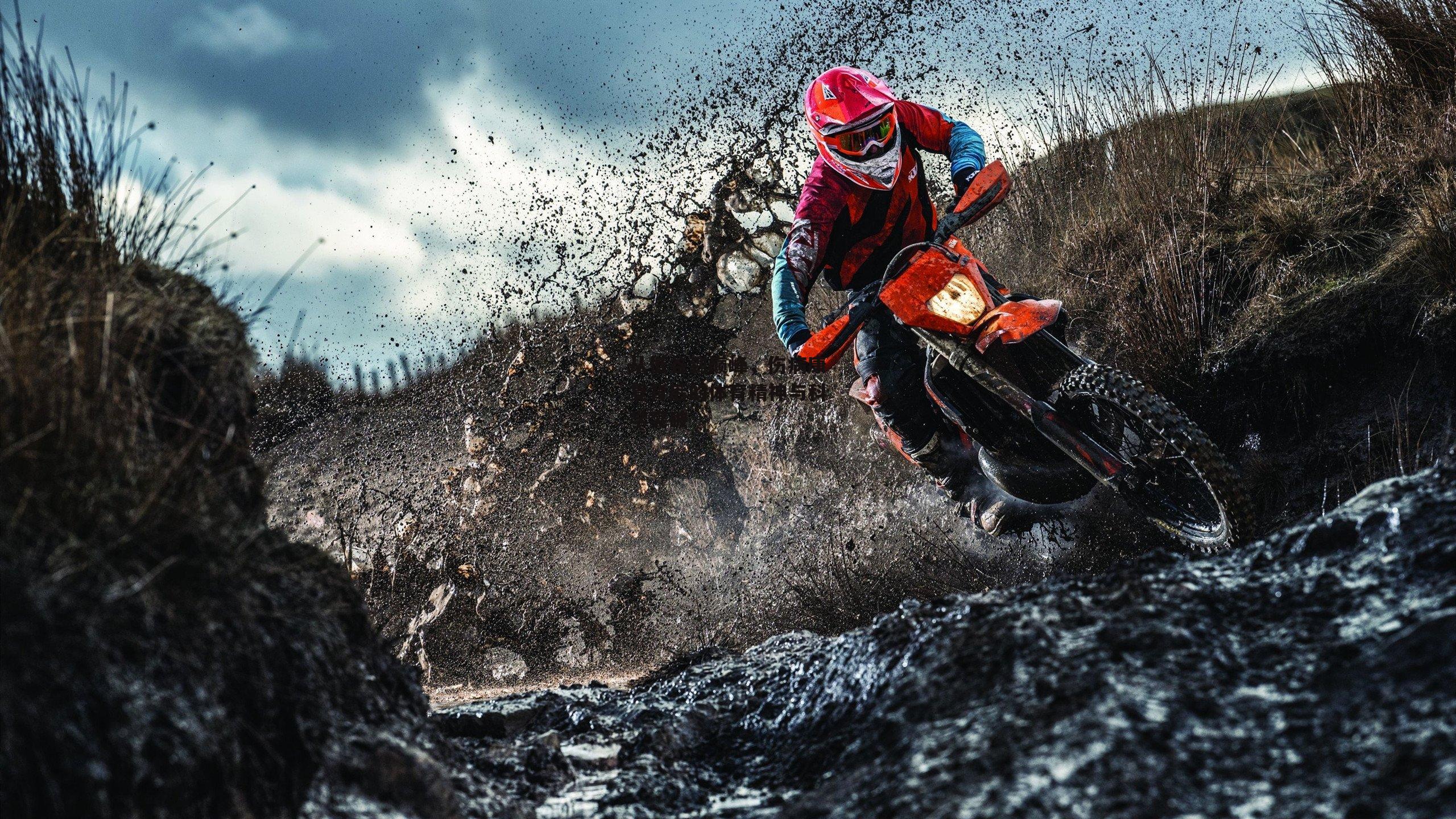 从低谷到巅峰，伤病康复背后的体育精神与科学突破