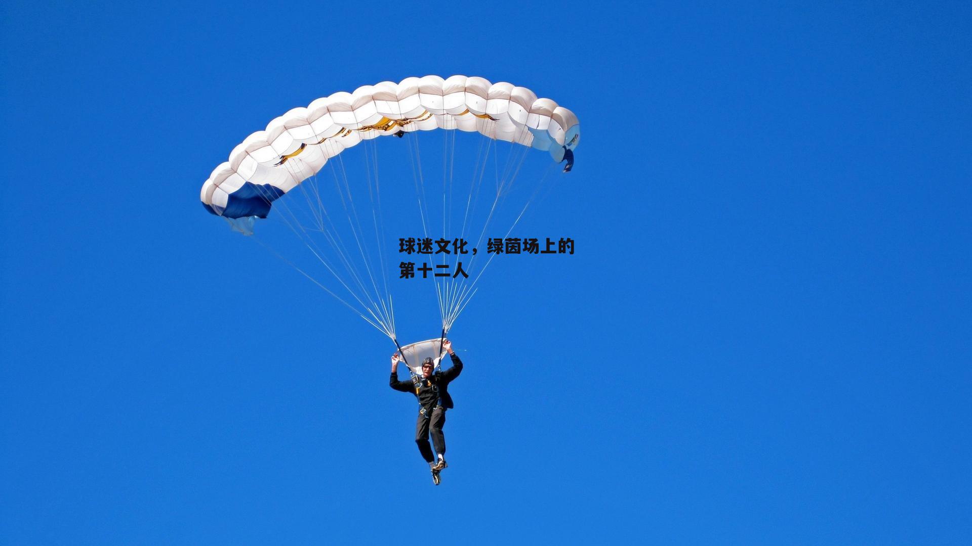 球迷文化，绿茵场上的第十二人
